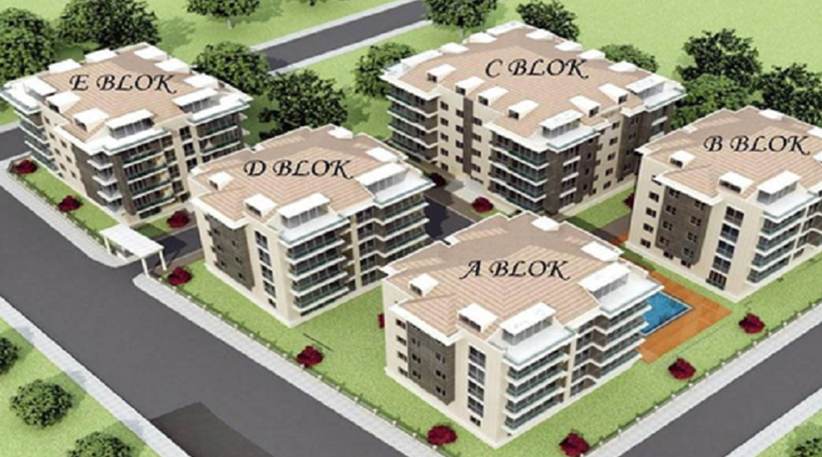 Deniz Yıldızı-Maltepe